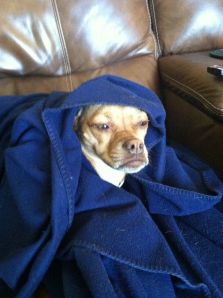 1214_4947832341056_1080939339_n